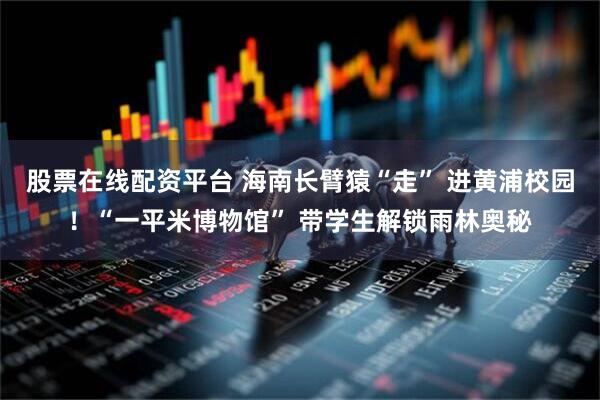 股票在线配资平台 海南长臂猿“走” 进黄浦校园！“一平米博物馆” 带学生解锁雨林奥秘