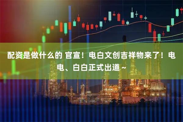 配资是做什么的 官宣！电白文创吉祥物来了！电电、白白正式出道～