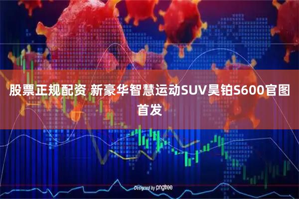 股票正规配资 新豪华智慧运动SUV昊铂S600官图首发