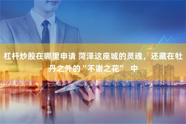 杠杆炒股在哪里申请 菏泽这座城的灵魂，还藏在牡丹之外的“不谢之花”  中